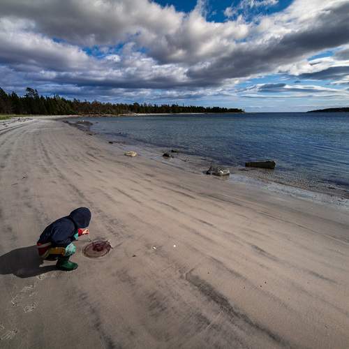 Photo #12843413