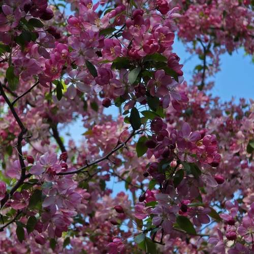 Photo #12843659
