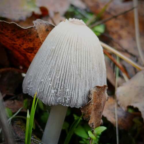 Photo #12843742