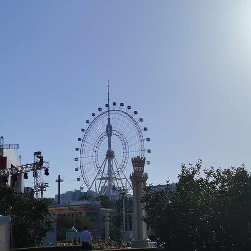 Photo #12843792