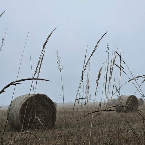 Photo #12844004