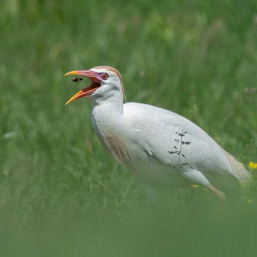 Photo #12844486