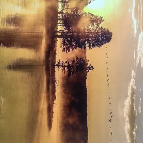 Photo #12844947