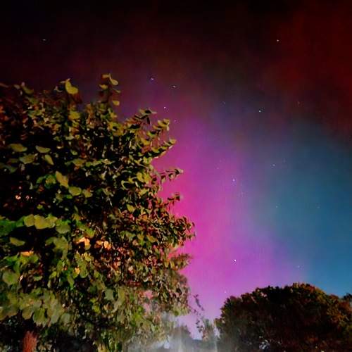 Photo #12844990