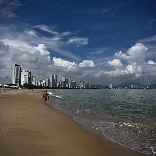 Photo #12845030