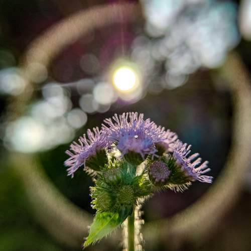 Photo #12845095