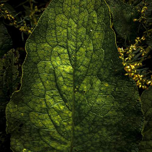 Photo #12845179