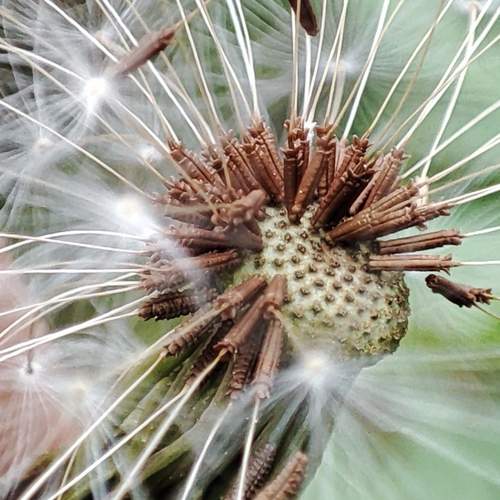 Photo #12845202