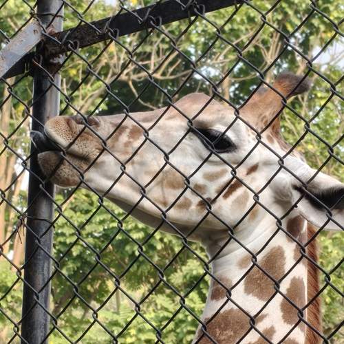 Photo #12845356