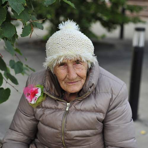 Узоры жизни