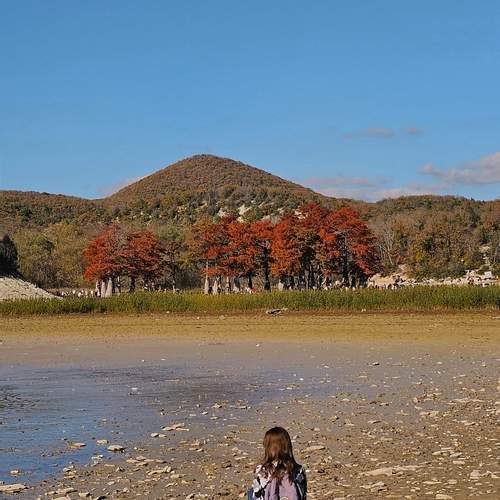 Photo #12845633