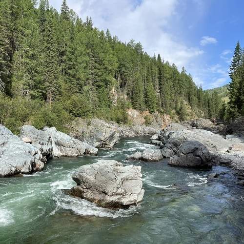 Photo #12845688
