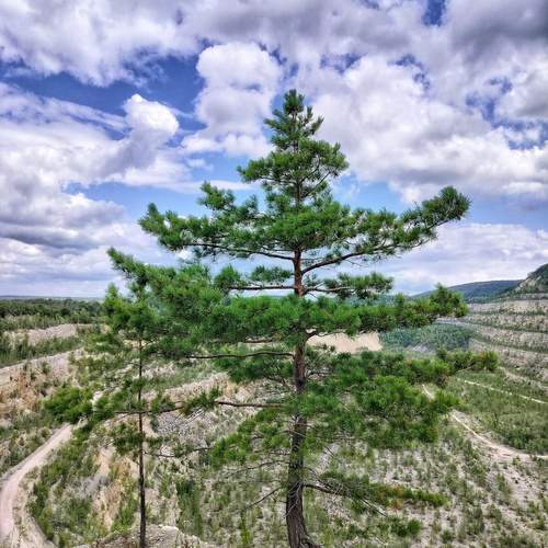 Photo #12845840