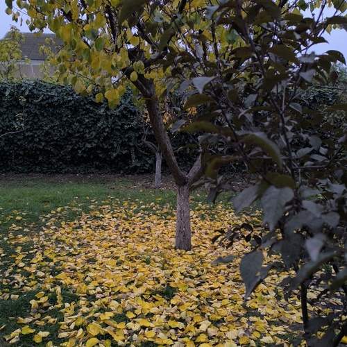 Photo #12846263