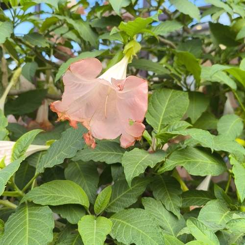 Photo #12846281