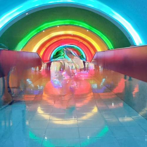 Photo #12846346