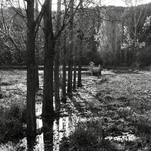 Photo #12846398