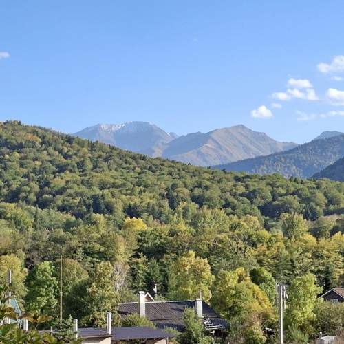 Photo #12846400