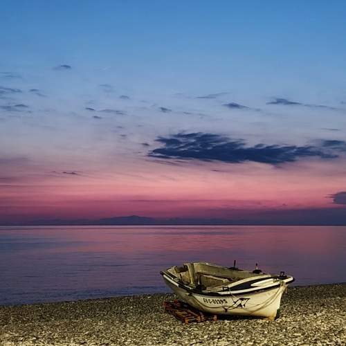 Photo #12846401