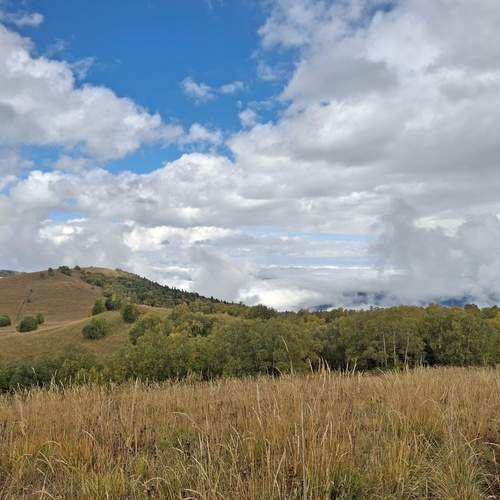 Photo #12846410
