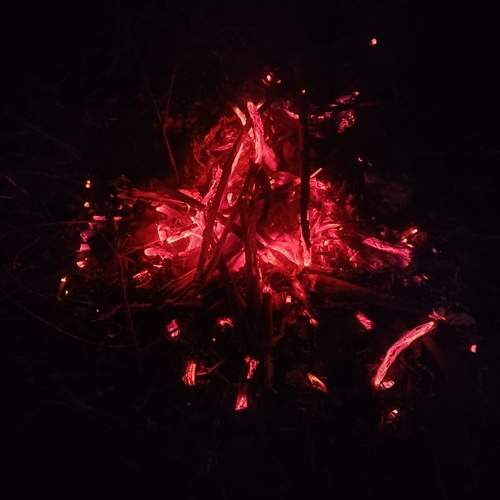 Photo #12846593