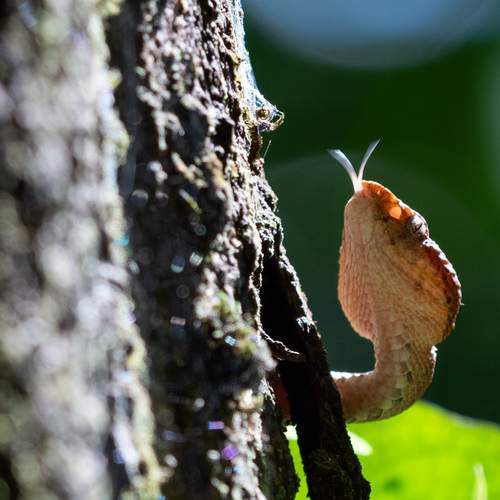 Hide and seek