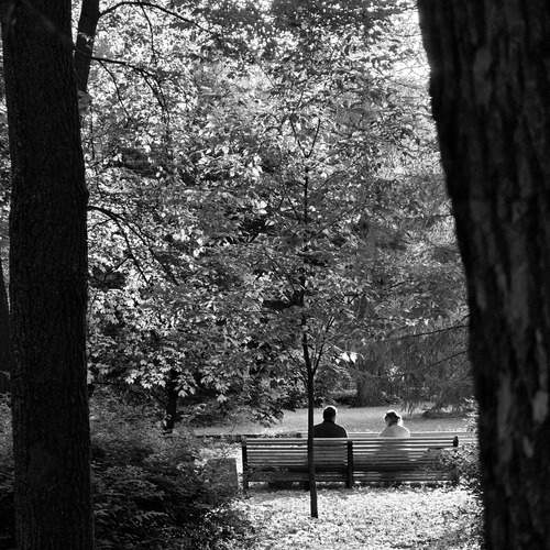 Photo #12846917