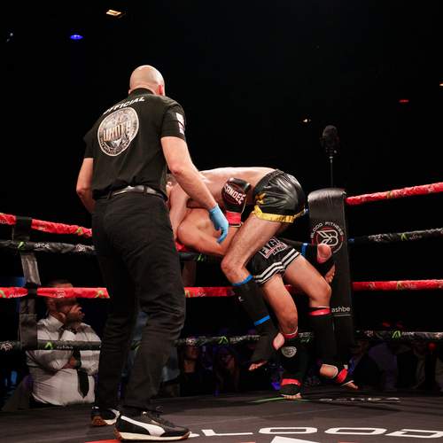 Фотография #12847113