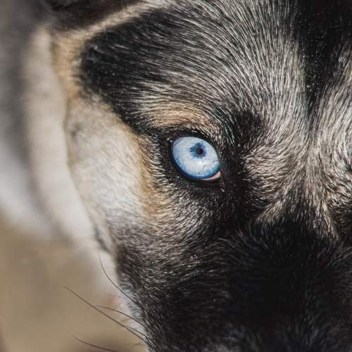 Photo #12847133