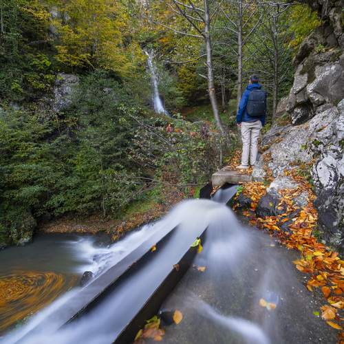 Photo #12847289