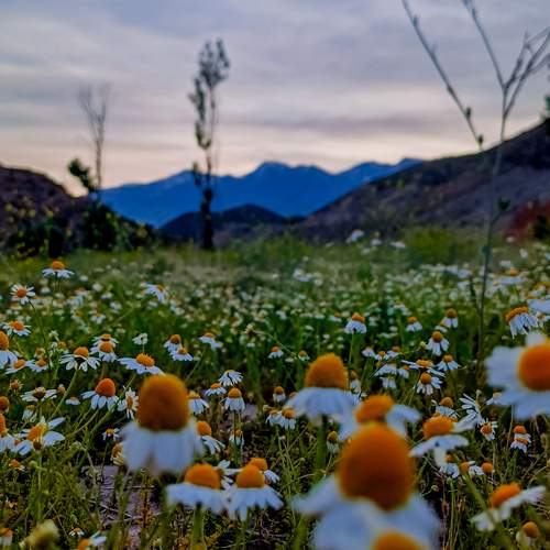 Photo #12847505