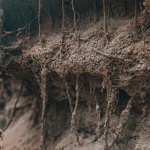 Photo #12847507