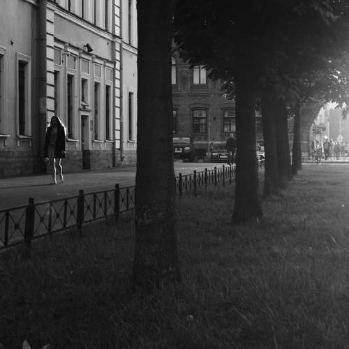 Photo #12847654