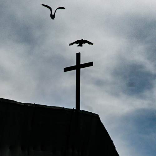 Photo #12847670