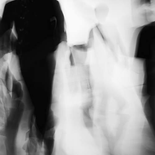 Photo #12847692