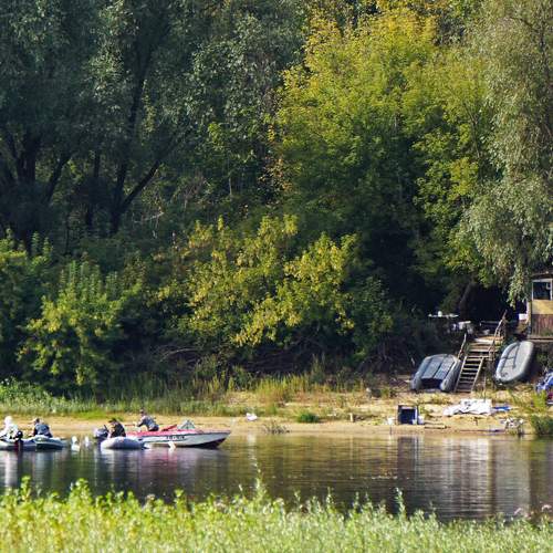 Photo #12847891