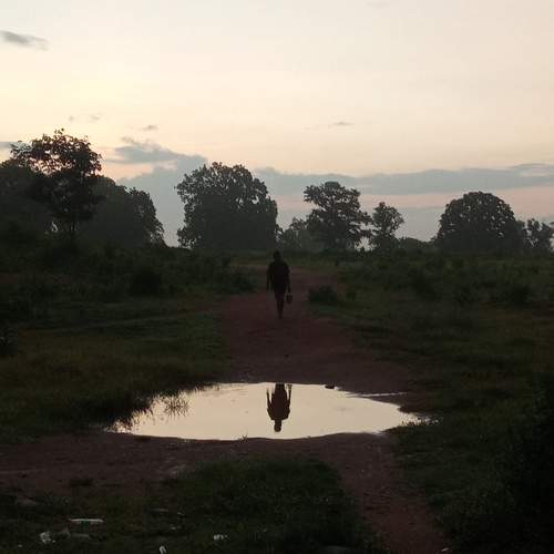 Photo #12847926