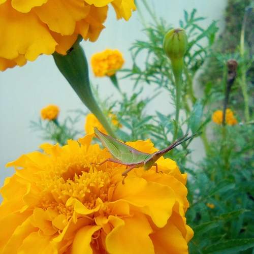Photo #12847932