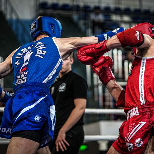 Фотография #12848085