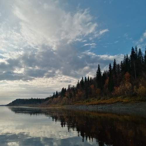 Photo #12848247