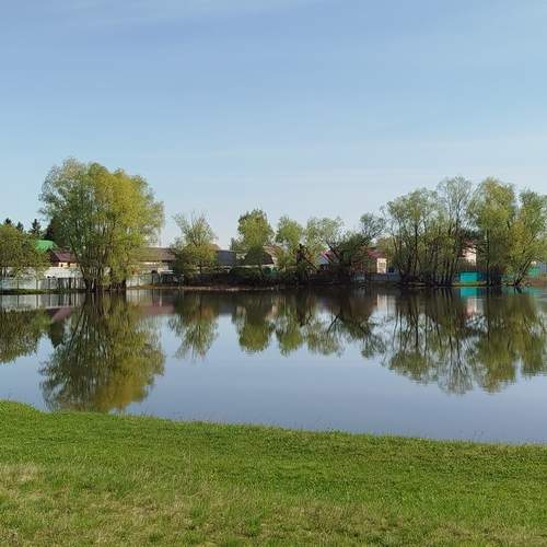 Photo #12848497