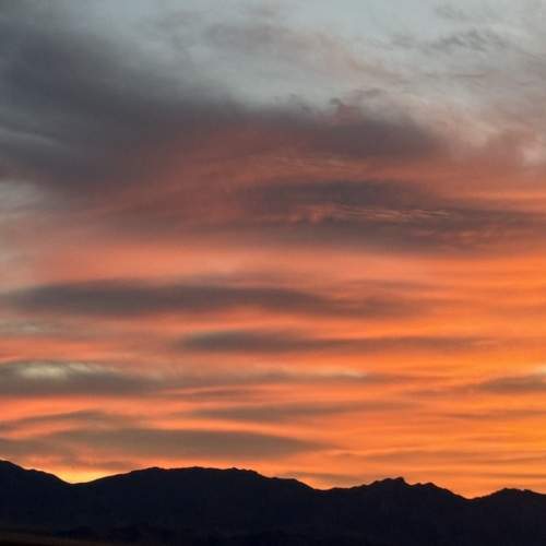 Photo #12848554