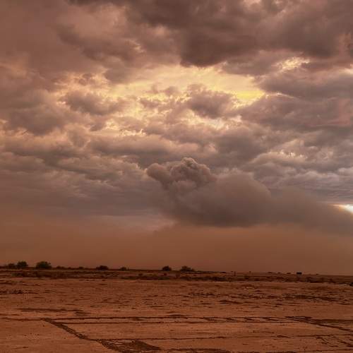 Photo #12848566