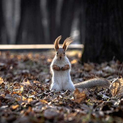 Фотография #12848568