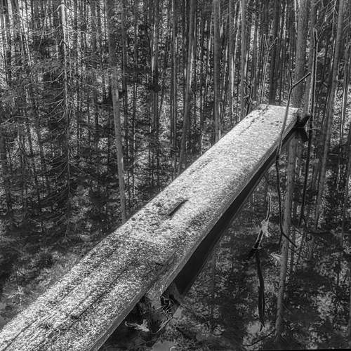 Фотография #12848863