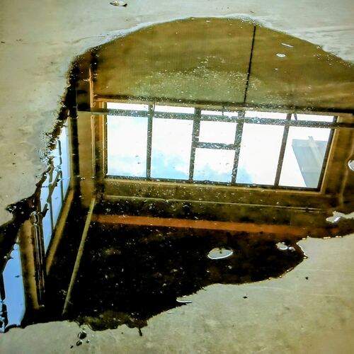 Photo #12848910