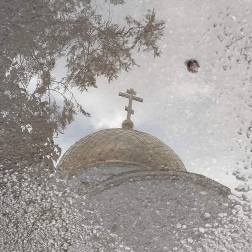 Photo #12849007