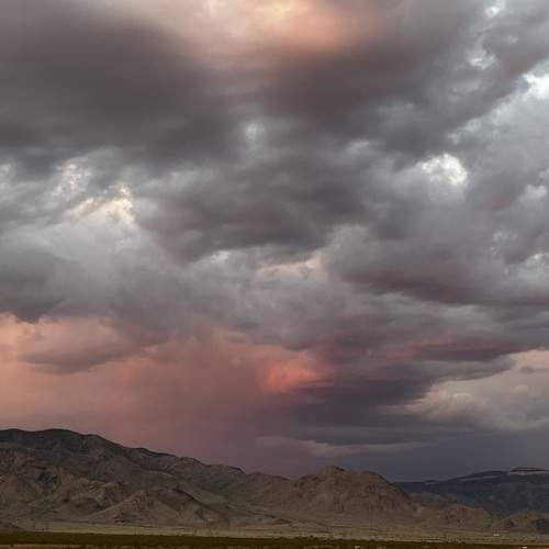 Photo #12849019