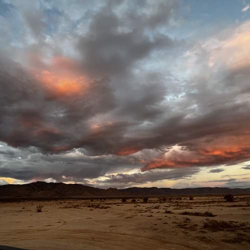 Photo #12849020