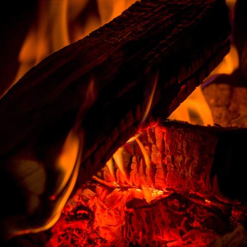 Фотография #12849168